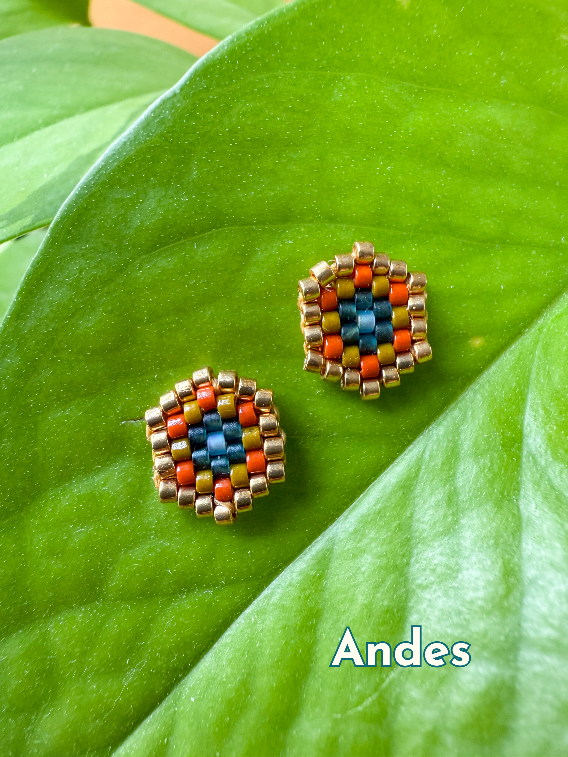 Sexy Hexy Studs