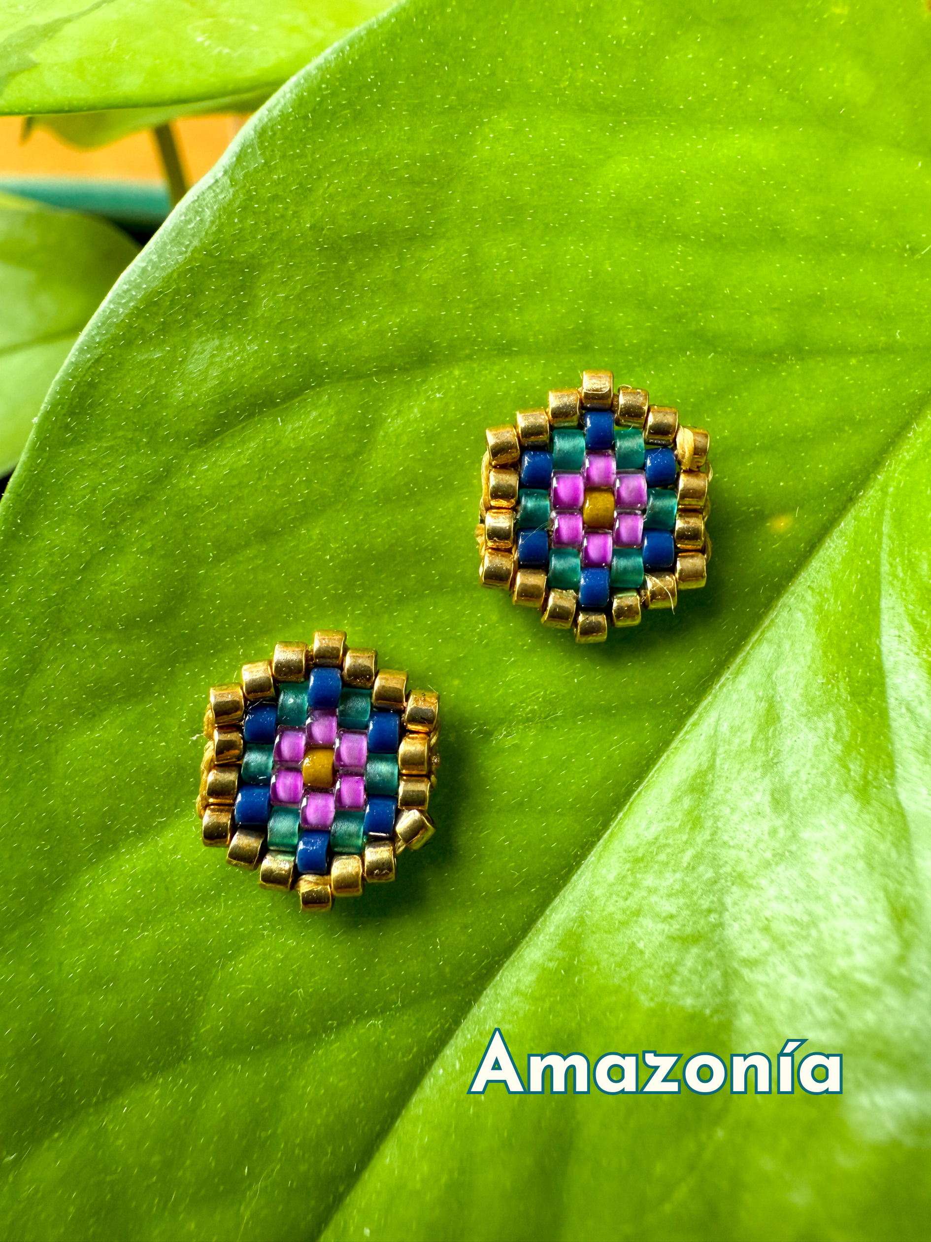 Sexy Hexy Studs