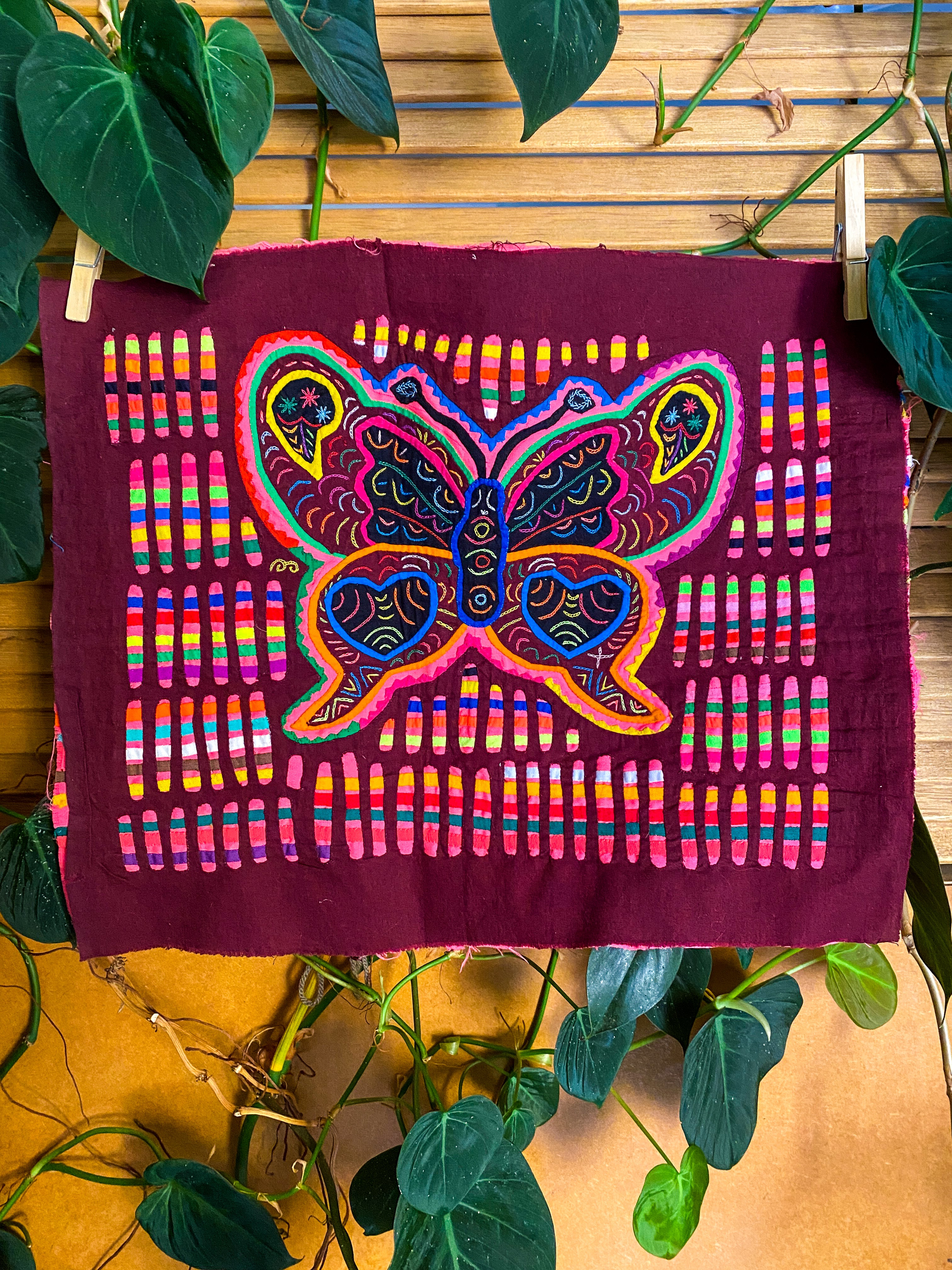 Butterfly Mola