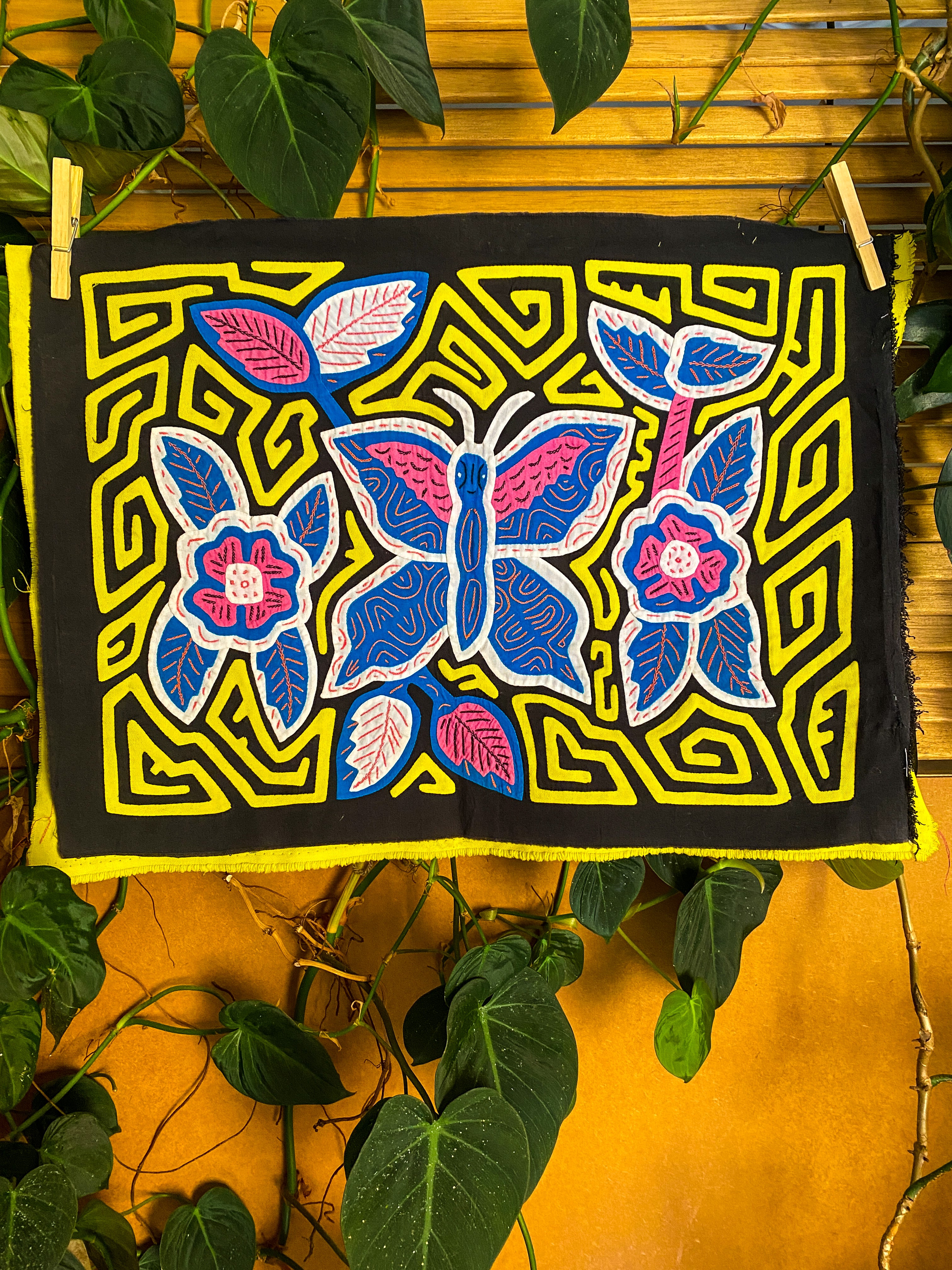 Butterfly Mola